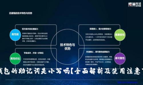 tP钱包的助记词是小写吗？全面解析及使用注意事项