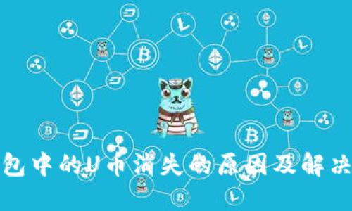 TP钱包中的U币消失的原因及解决方案