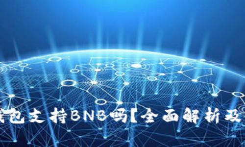 比特派钱包支持BNB吗？全面解析及使用指南