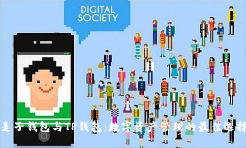 麦子钱包与TP钱包：数字资产管理的最佳选择